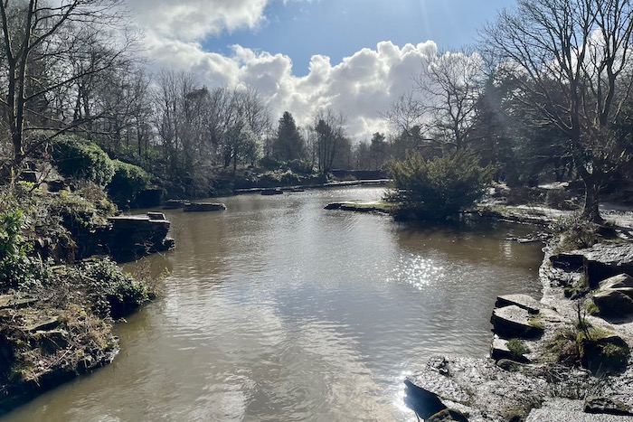 The Japanese Lake in Rivington Gardens